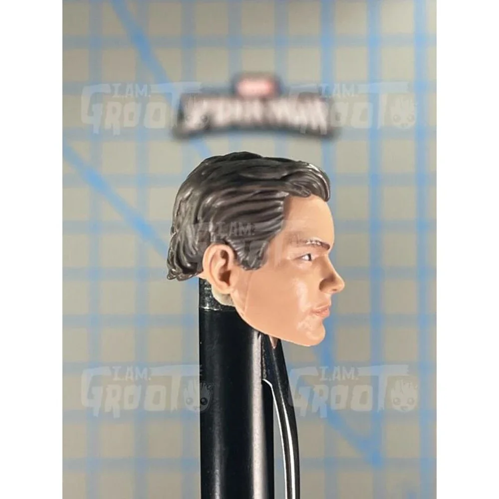 Marvel Legends Spider-Man Action Figure Renew Your Vows RYV 2 Pack Complete G